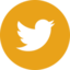 Icono de Twitter