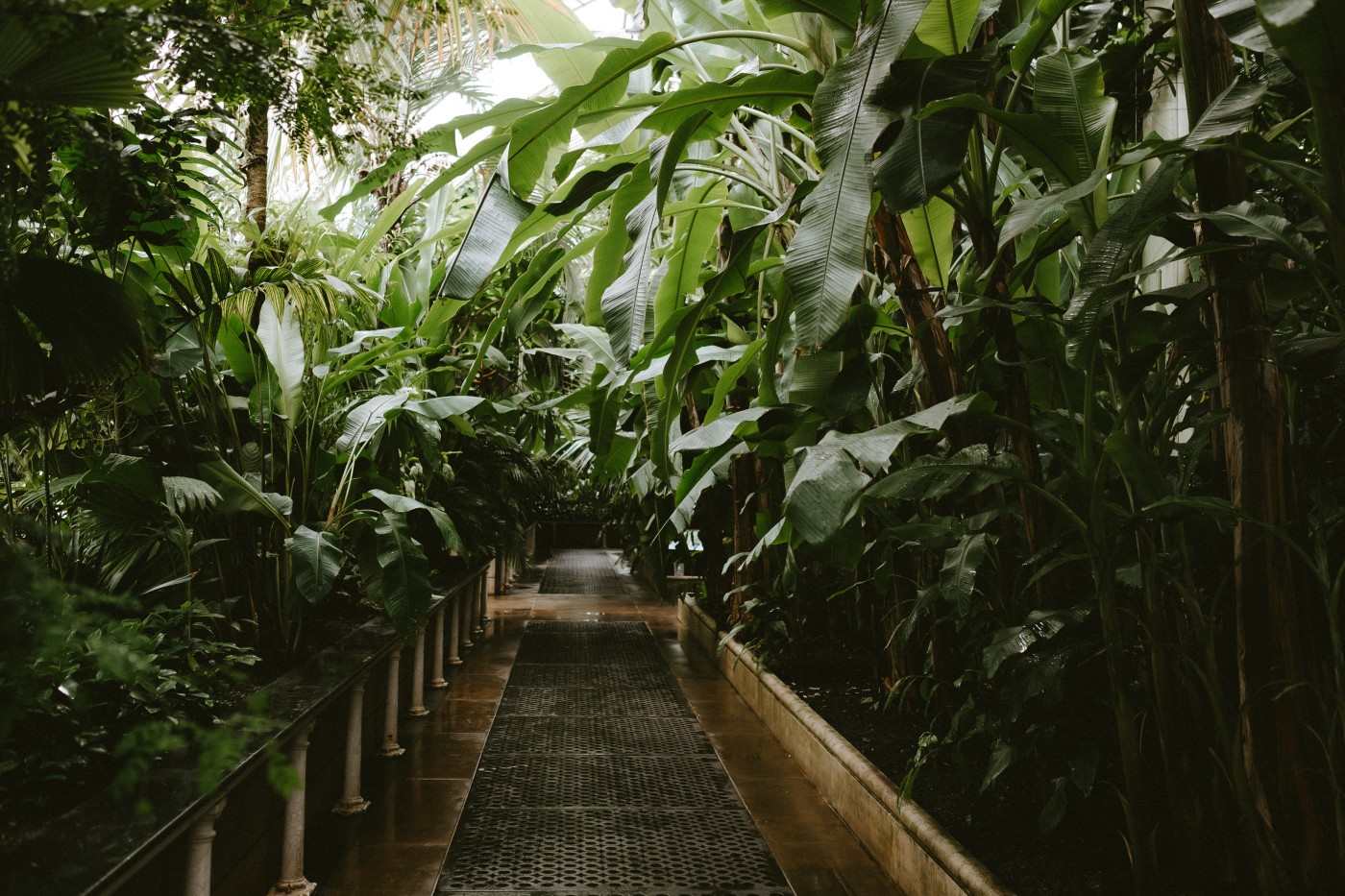 Santuario de aves